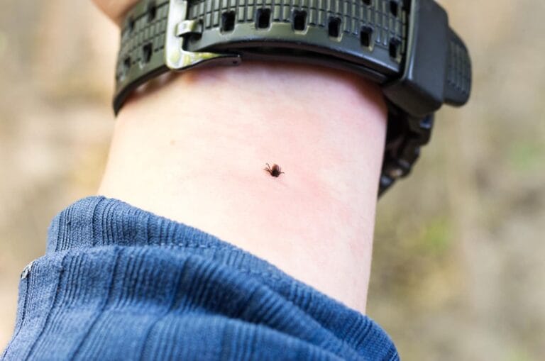 Tick on a wrist